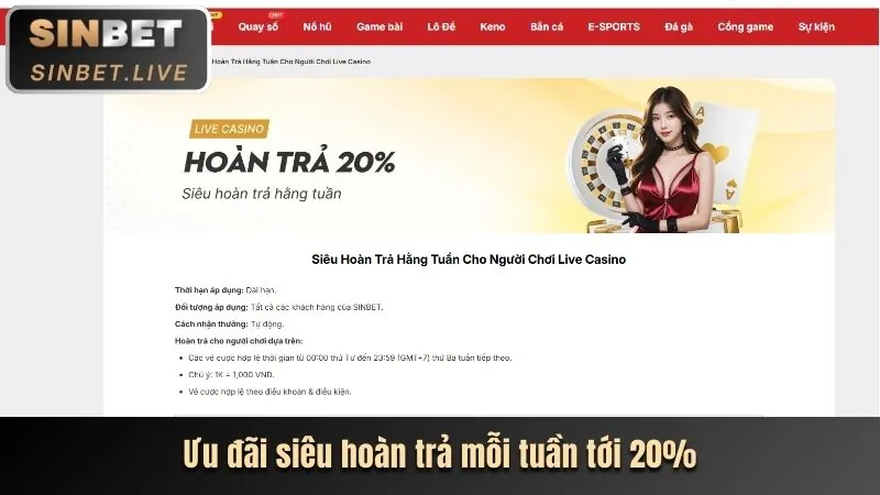 Các tính năng chính của trang web chính thức zt9398